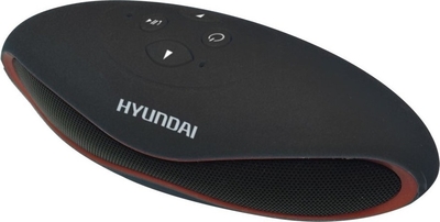 Портативная акустика Hyundai H-PAC100