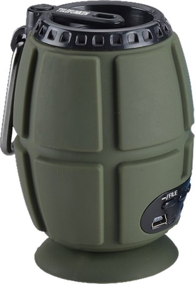 Аудиосистема Telefunken TF-PS1232B зеленый Аудиосистема Telefunken TF-PS1232B зеленый