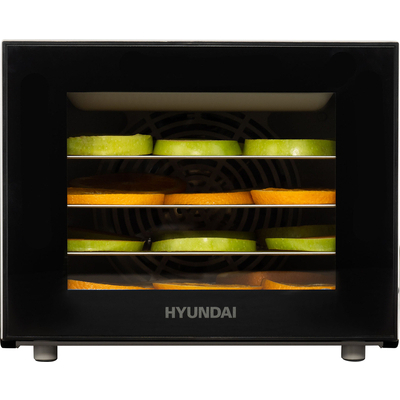 Сушилка Hyundai HYFD-1204 черный