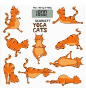  Scarlett SC-BS33E077